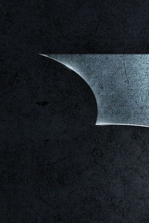 Batman Begins's poster