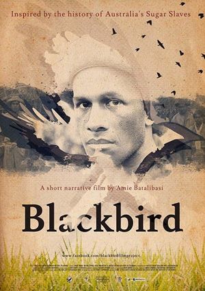 Blackbird's poster