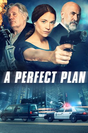 A Perfect Plan's poster image