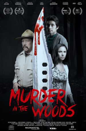 Murder in the Woods's poster