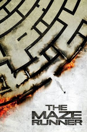 The Maze Runner's poster