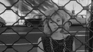 L'Eclisse's poster