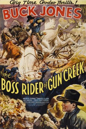 The Boss Rider of Gun Creek's poster