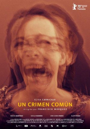 A Common Crime's poster