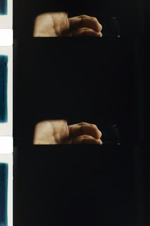Unabridged Maneuver's poster image