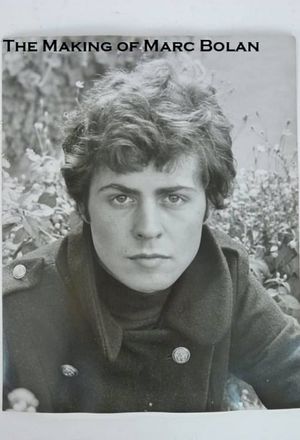 The Making of Marc Bolan's poster