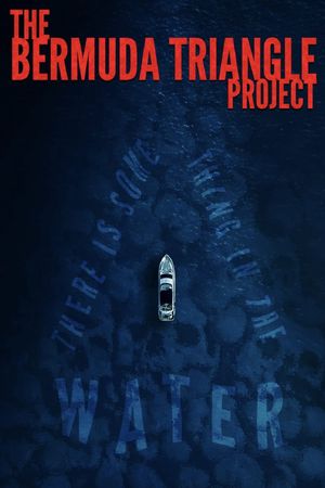 The Bermuda Triangle Project's poster