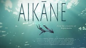 Aikāne's poster