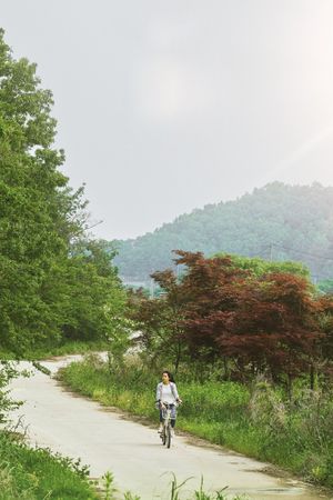 Little Forest's poster