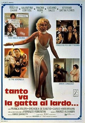 Tanto va la gatta al lardo...'s poster