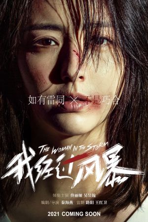 The Woman in the Storm's poster
