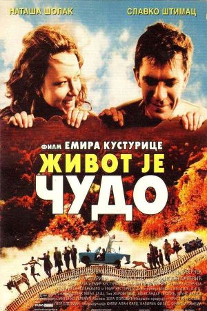 Life Is a Miracle's poster