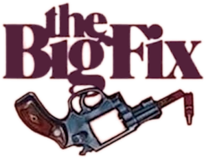 The Big Fix's poster