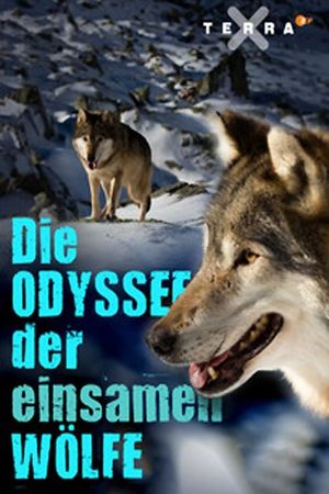 Die Odyssee der einsamen Wölfe's poster image