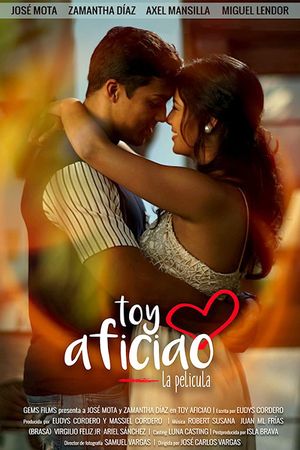 Toy Aficiao's poster image