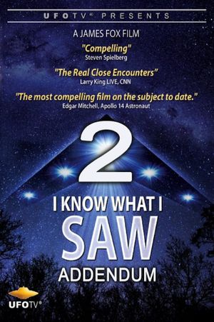 I Know What I Saw Part 2 Addendum's poster