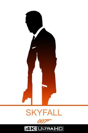 Skyfall's poster