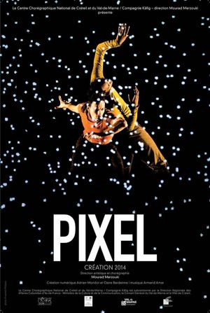 Pixel's poster