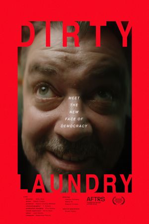 Dirty Laundry's poster