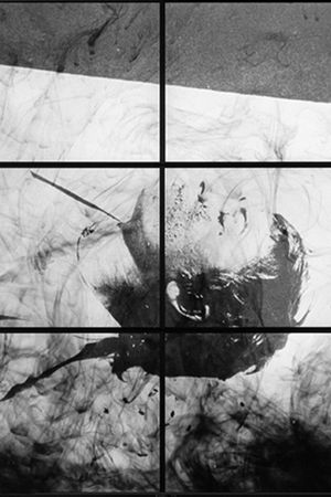 Mnemosyne's poster