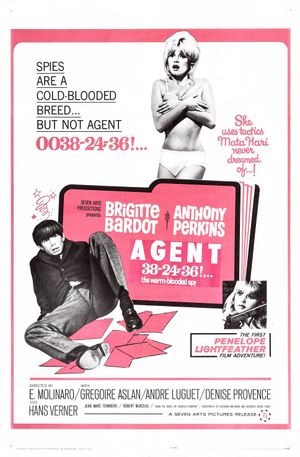 Agent 38-24-36's poster