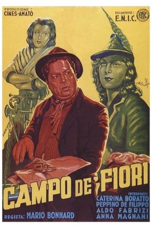 The Peddler and the Lady's poster