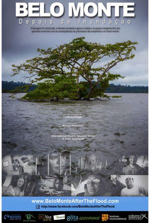 Belo Monte: After the Flooding's poster