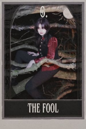 0. THE FOOL's poster