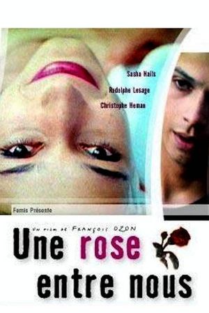 A Rose Between Us's poster