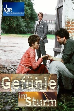 Gefühle im Sturm's poster