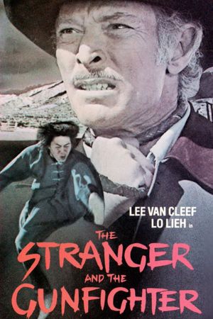 The Stranger and the Gunfighter's poster