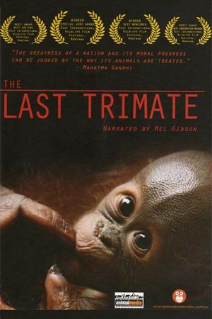 The Last Trimate's poster