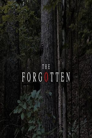 The Forgotten's poster