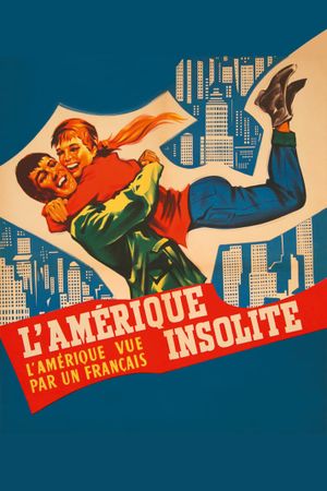 America as Seen by a Frenchman's poster