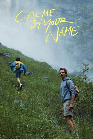 Call Me by Your Name's poster