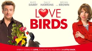Love Birds's poster