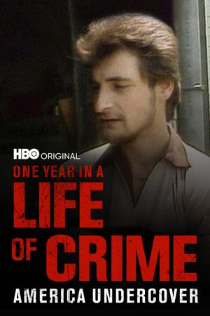 One Year in a Life of Crime's poster