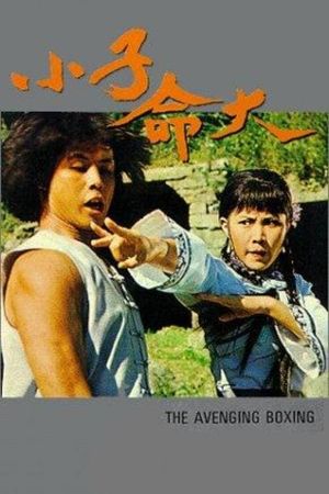The Fearless Young Boxer's poster