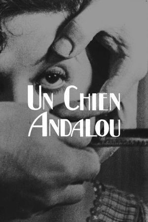 Un Chien Andalou's poster