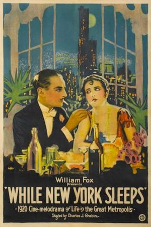 While New York Sleeps's poster