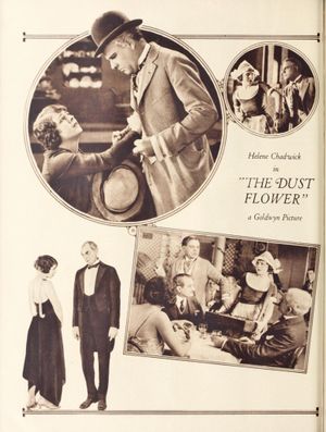 Dust Flower's poster