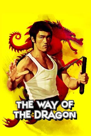 The Way of the Dragon's poster