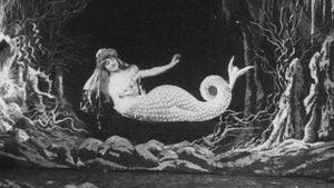 The Mermaid's poster