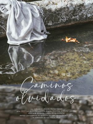Caminos olvidados's poster