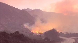 Burning Ojai: Our Fire Story's poster