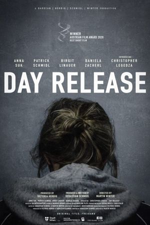 Day Release's poster