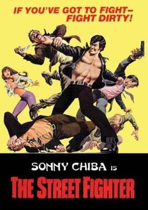 The Street Fighter's poster