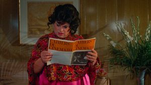 Polyester's poster