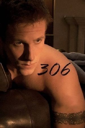 306's poster