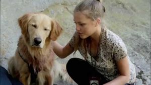 Army Dog's poster
